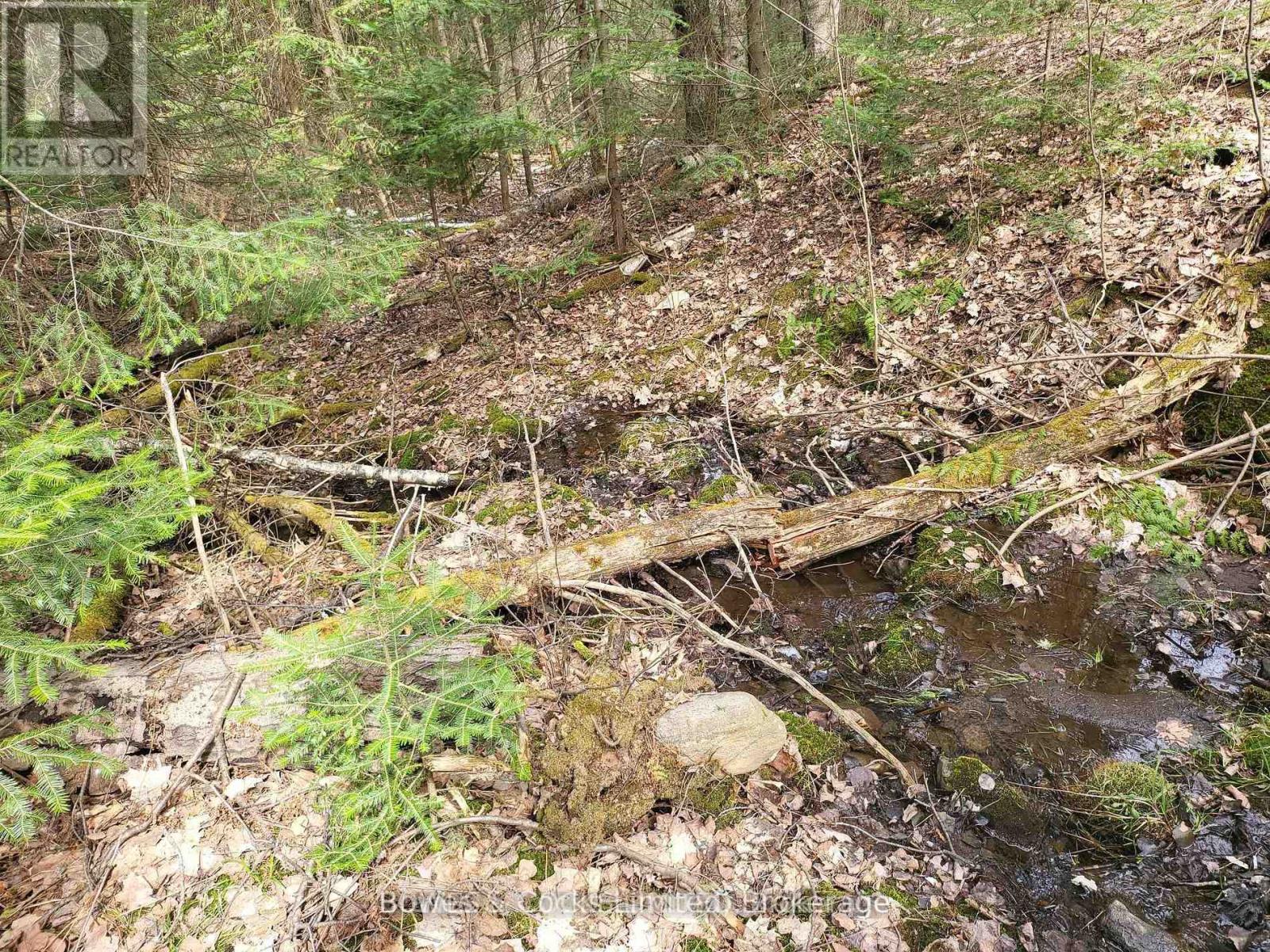 0 Highway 62 N, Hastings Highlands (Monteagle Ward), Ontario  K0L 2S0 - Photo 3 - X12406227