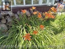 3277 Dominion, Windsor, Ontario N9E 2N6 - Photo 12 - 25030935