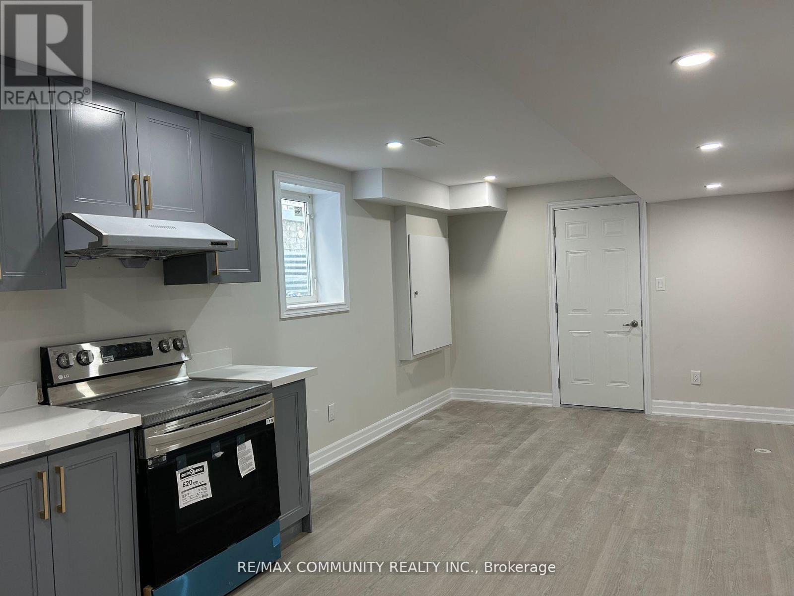 Basement - 133 Micklefield Avenue, Whitby, Ontario  L1P 0L3 - Photo 5 - E12596932