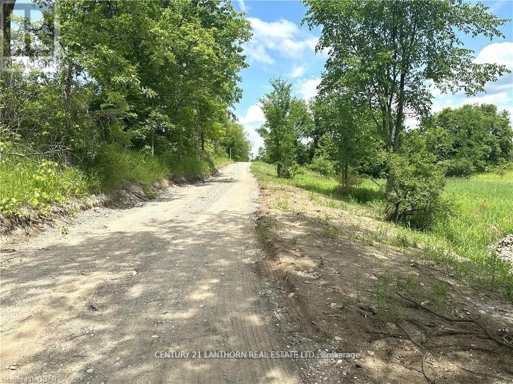 0 Hwy 62, Centre Hastings, Ontario  K0K 2K0 - Photo 16 - X12597112