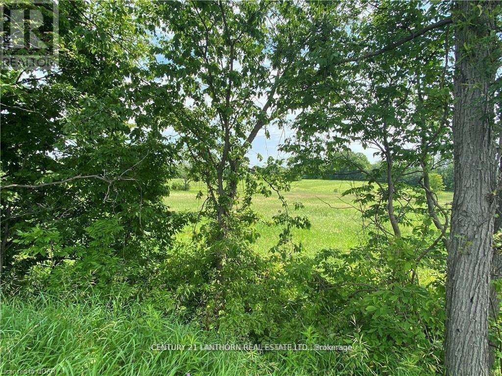 0 Hwy 62, Centre Hastings, Ontario  K0K 2K0 - Photo 7 - X12597112