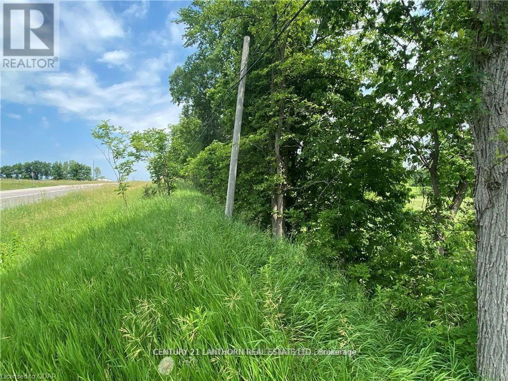 0 Hwy 62, Centre Hastings, Ontario  K0K 2K0 - Photo 8 - X12597112