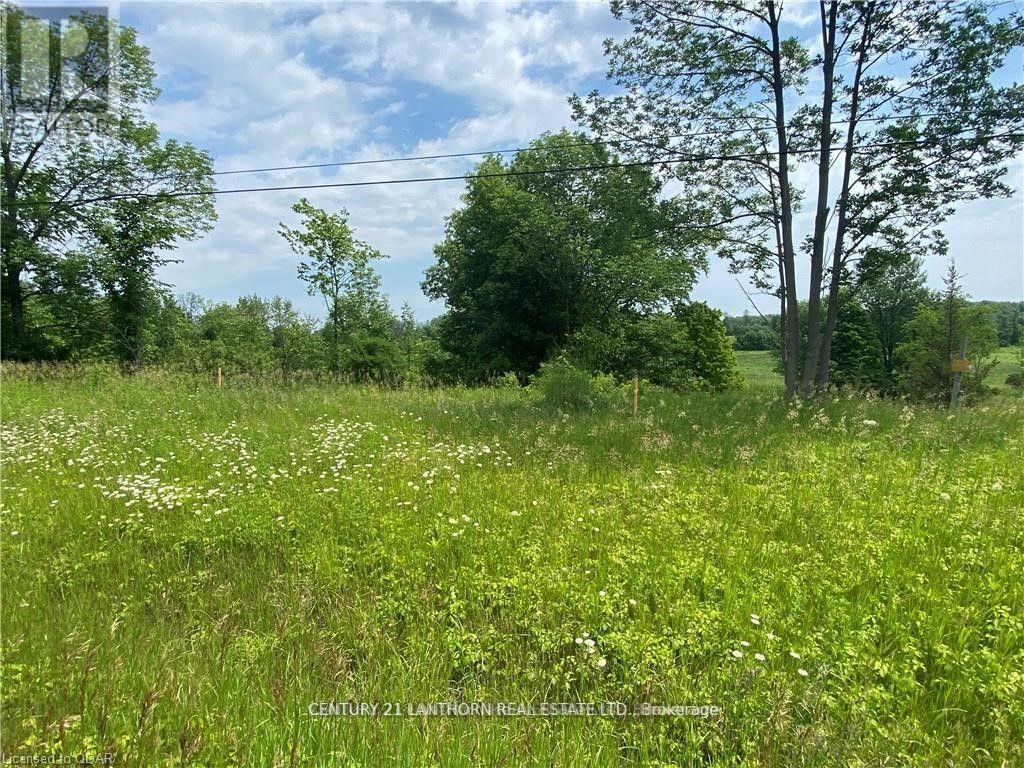 0 Hwy 62, Centre Hastings, Ontario  K0K 2K0 - Photo 9 - X12597112