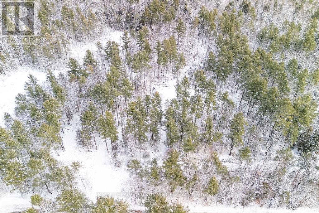 265 Addington Road 4, Frontenac, Ontario  K0H 1K0 - Photo 10 - X12597216