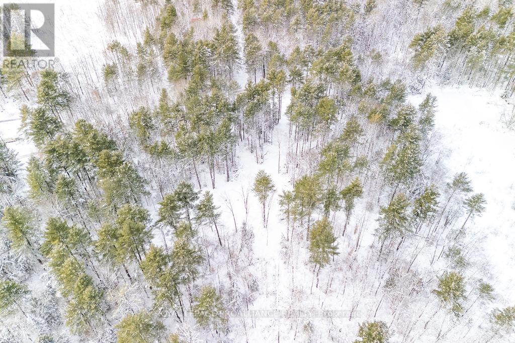 265 Addington Road 4, Frontenac, Ontario  K0H 1K0 - Photo 17 - X12597216