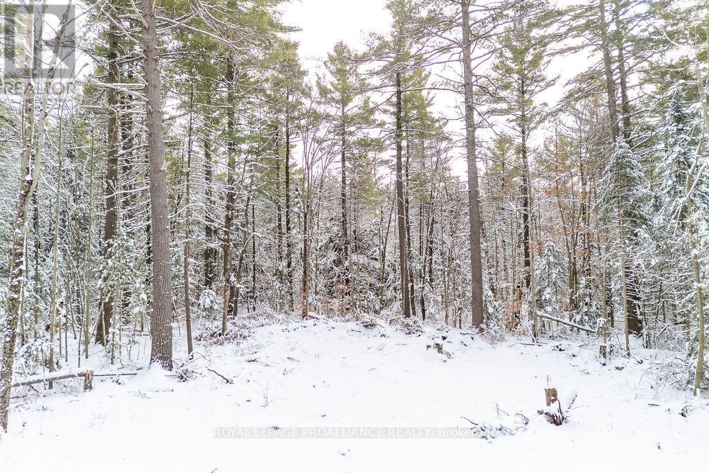 265 Addington Road 4, Frontenac, Ontario  K0H 1K0 - Photo 26 - X12597216