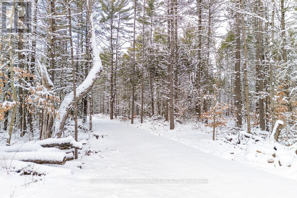 265 Addington Road 4, Frontenac, Ontario  K0H 1K0 - Photo 29 - X12597216