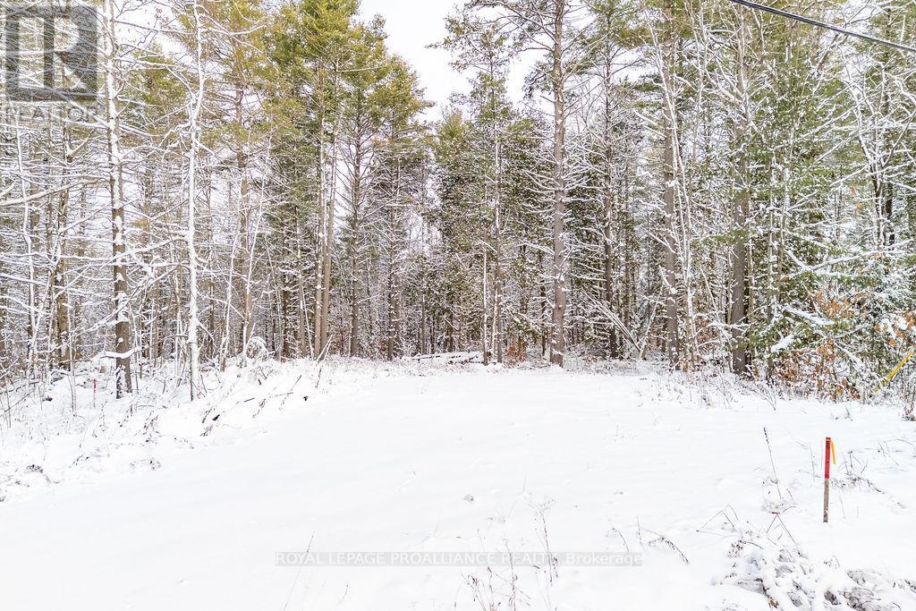 265 Addington Road 4, Frontenac, Ontario  K0H 1K0 - Photo 5 - X12597216