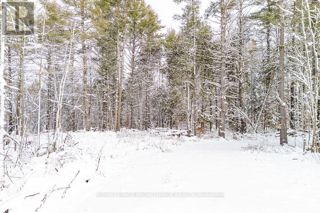 265 Addington Road 4, Frontenac, Ontario  K0H 1K0 - Photo 6 - X12597216