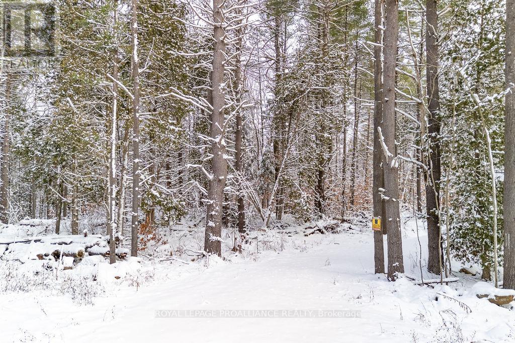 265 Addington Road 4, Frontenac, Ontario  K0H 1K0 - Photo 7 - X12597216