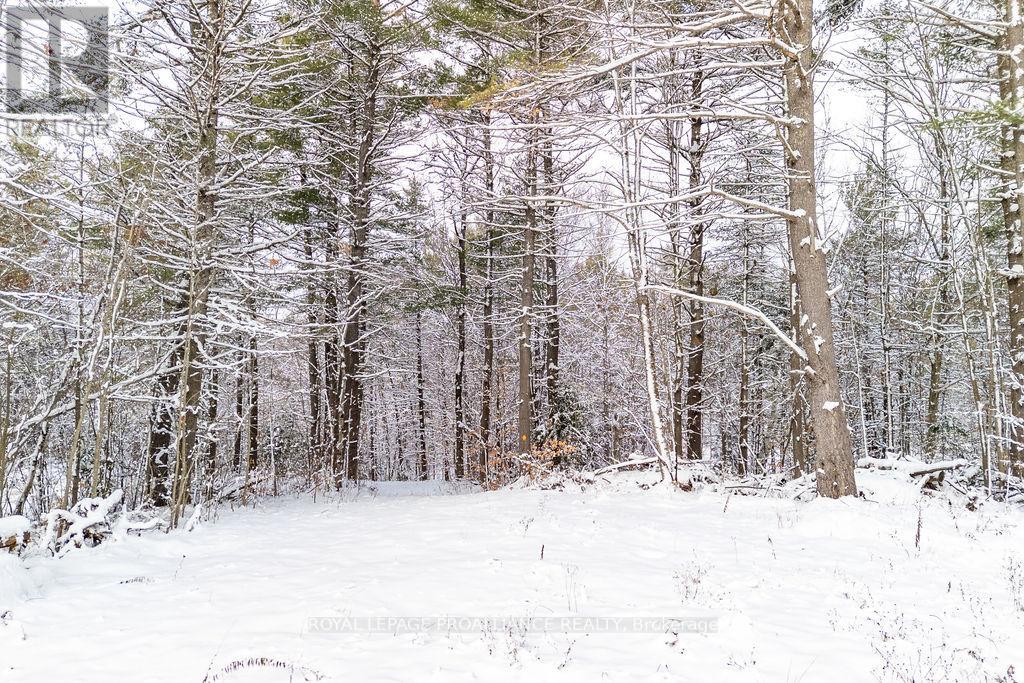 265 Addington Road 4, Frontenac, Ontario  K0H 1K0 - Photo 8 - X12597216