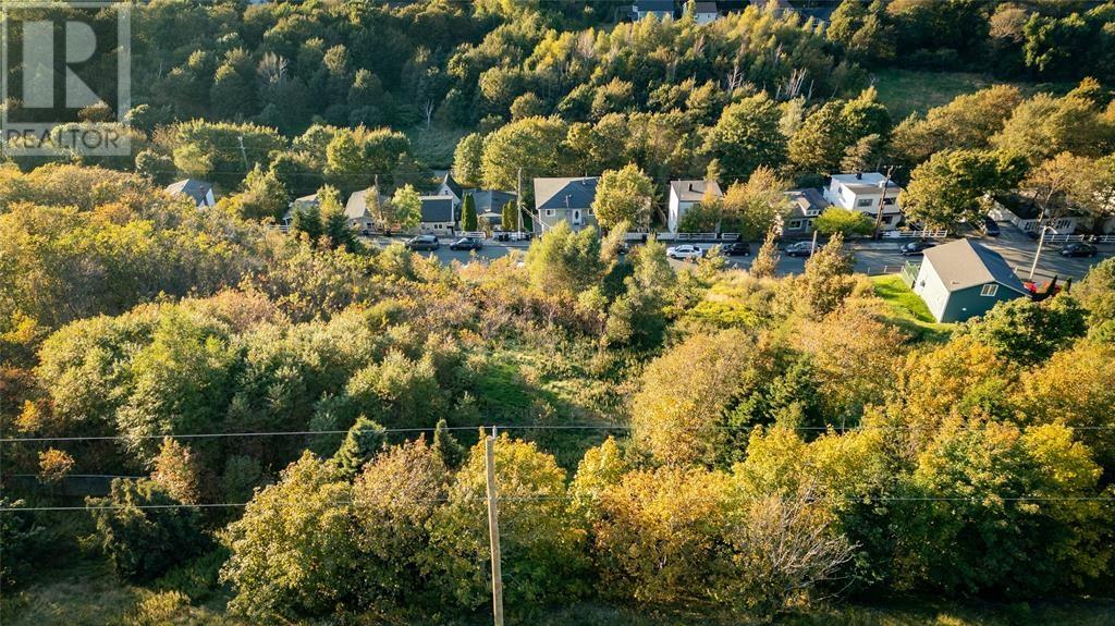 591 Southside Road, St. John's, Newfoundland & Labrador  A1E 1A4 - Photo 5 - 1293056