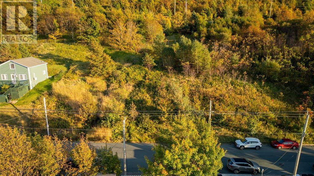 591 Southside Road, St. John's, Newfoundland & Labrador  A1E 1A4 - Photo 6 - 1293056