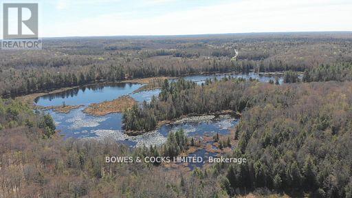 0 Renwick Road, North Kawartha, Ontario  K0L 1A0 - Photo 4 - X12581050