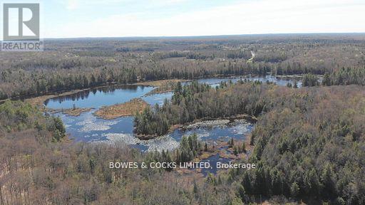 0 Renwick Road, North Kawartha, Ontario  K0L 1A0 - Photo 6 - X12581050