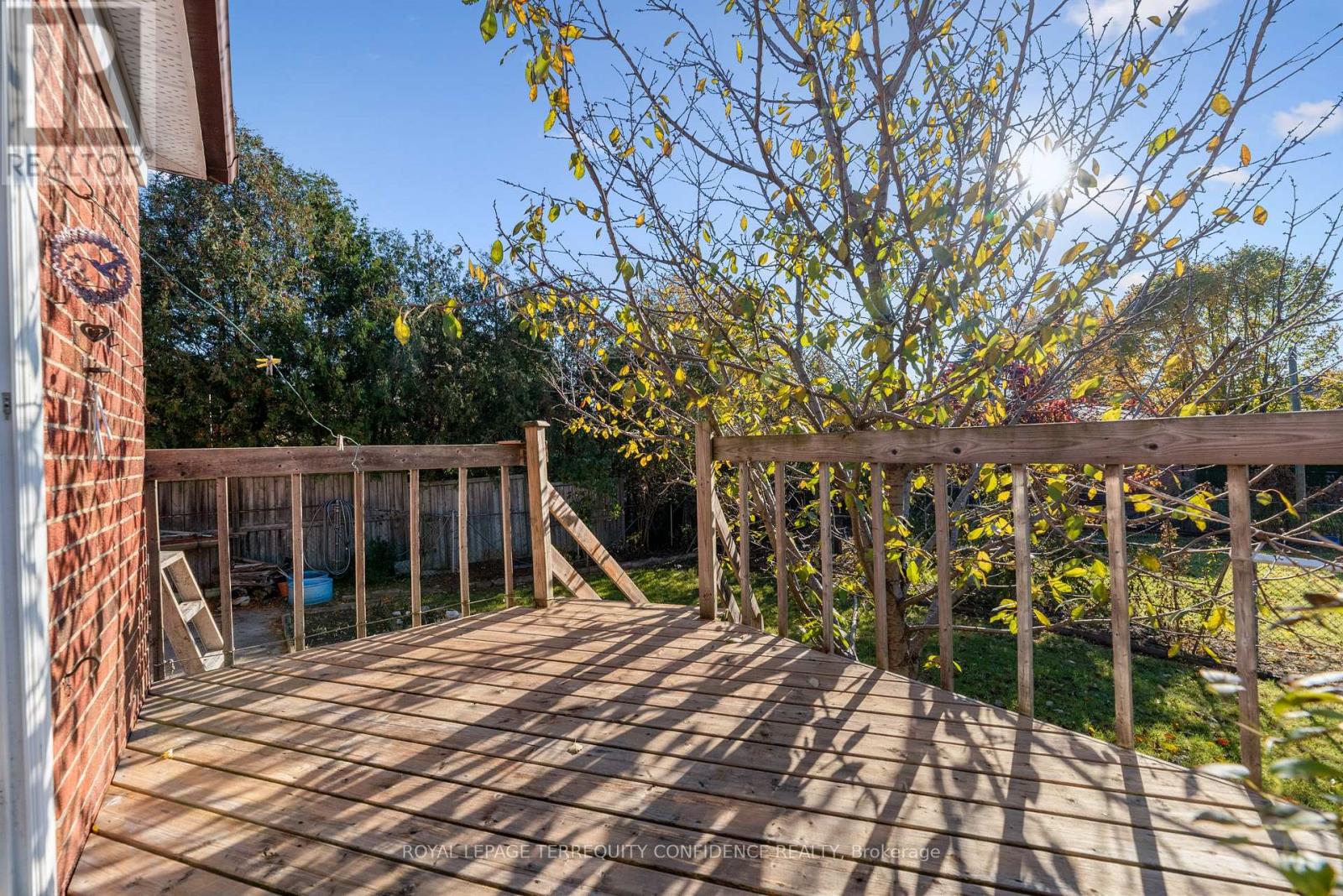 377 Horsham Avenue, Toronto, Ontario  M2R 1H1 - Photo 25 - C12597256