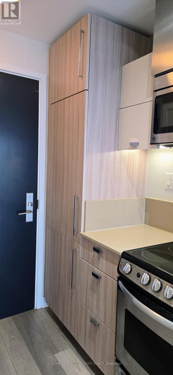 3609 - 290 Adelaide Street W, Toronto, Ontario M5V 0P3 - Photo 8 - C12597338