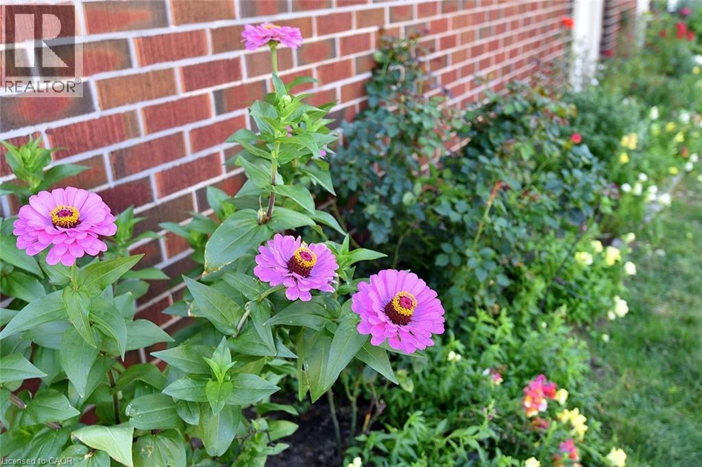 29 Sherman Avenue S Unit# 6, Hamilton, Ontario  L8M 2P6 - Photo 23 - 40791828