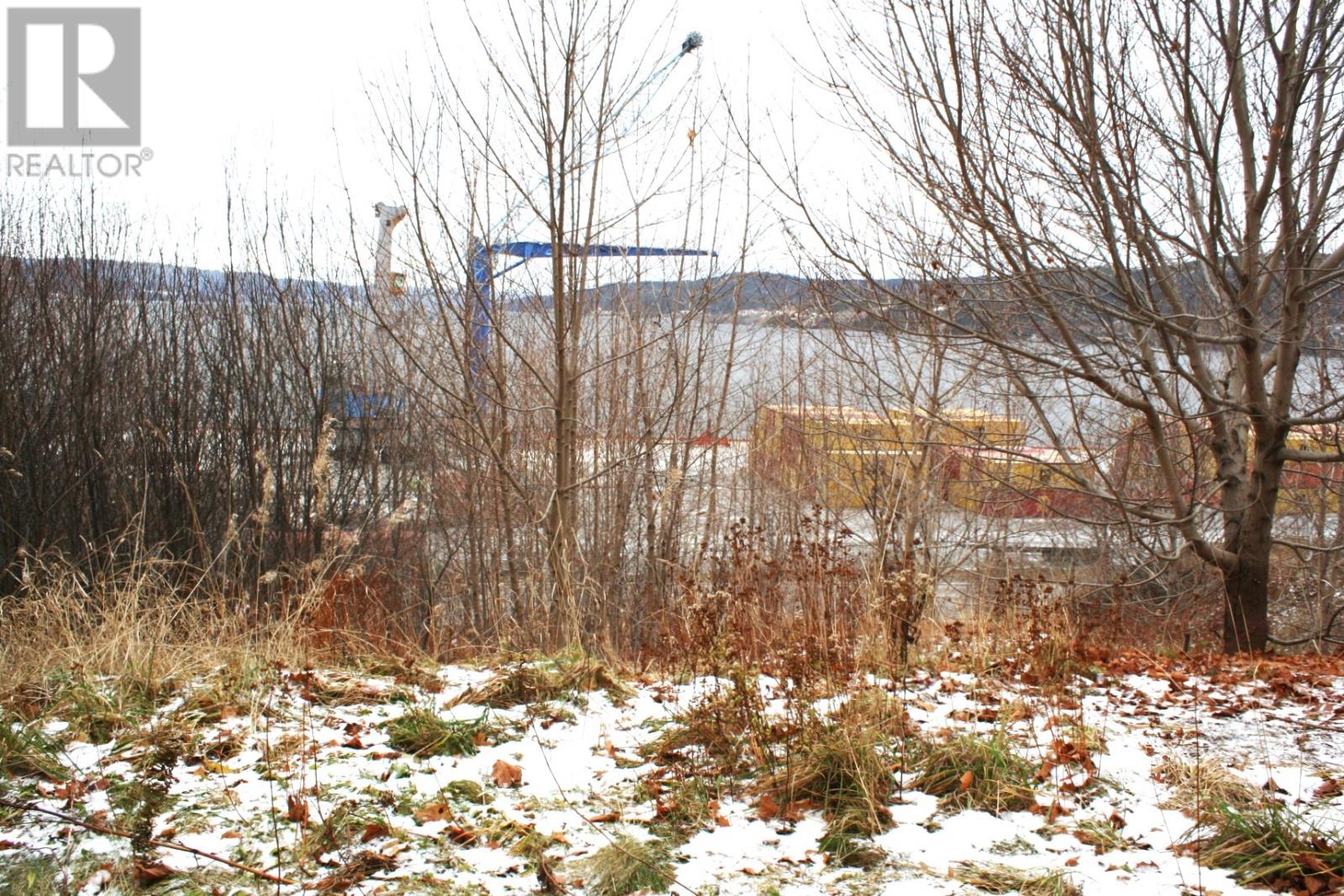 2 Mccarthys Lane, Corner Brook, Newfoundland & Labrador  A2H 1X2 - Photo 3 - 1293085