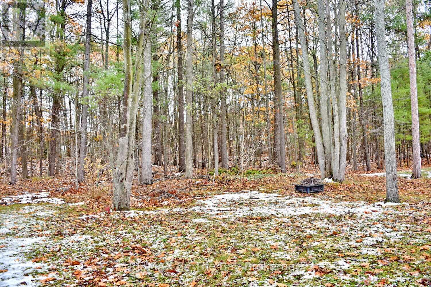 41 Wesley Avenue, Wasaga Beach, Ontario  L9Z 1C8 - Photo 39 - S12544016