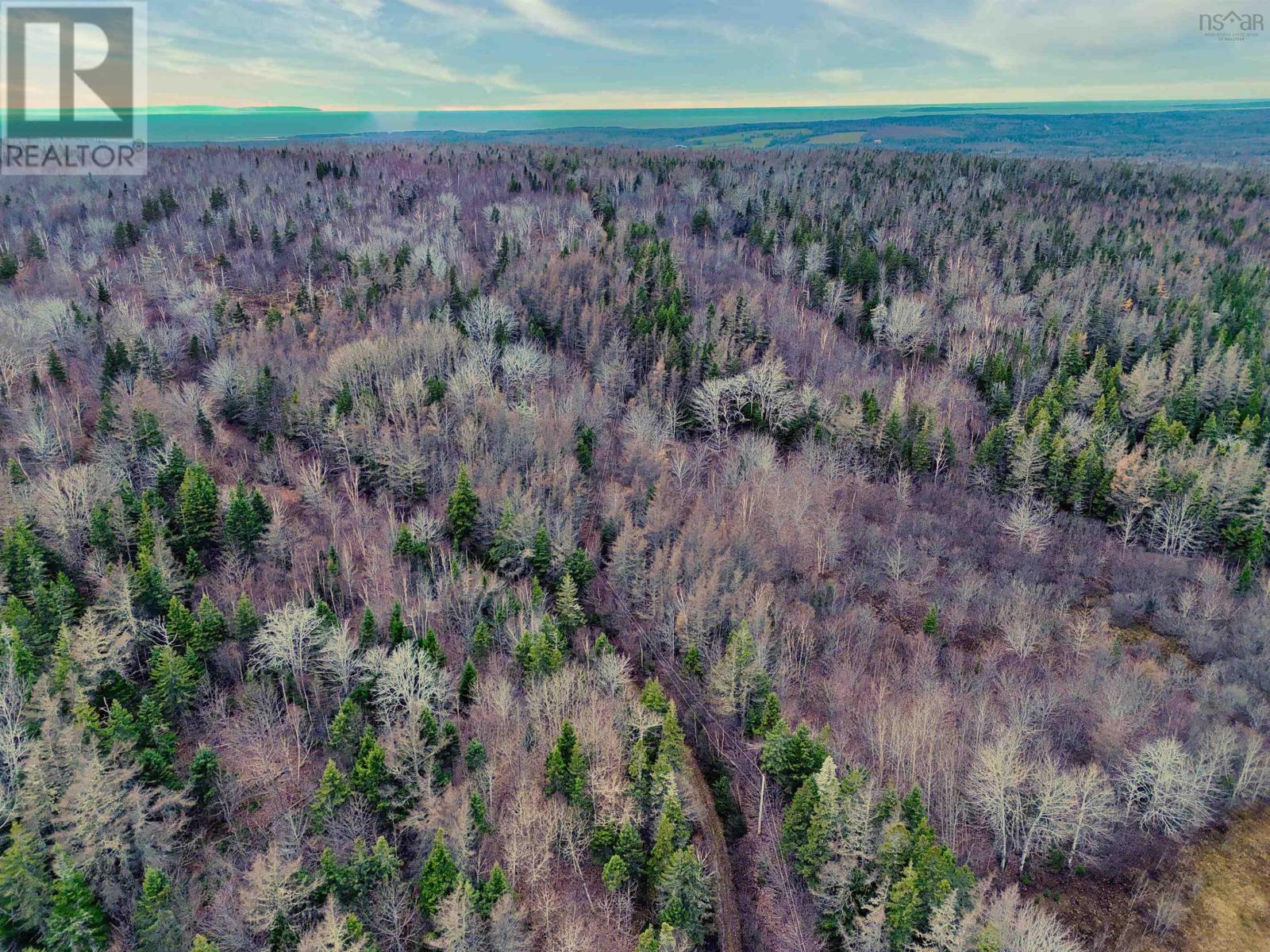 Maceachern Road, Judique North, Nova Scotia  B0E 1P0 - Photo 4 - 202527989