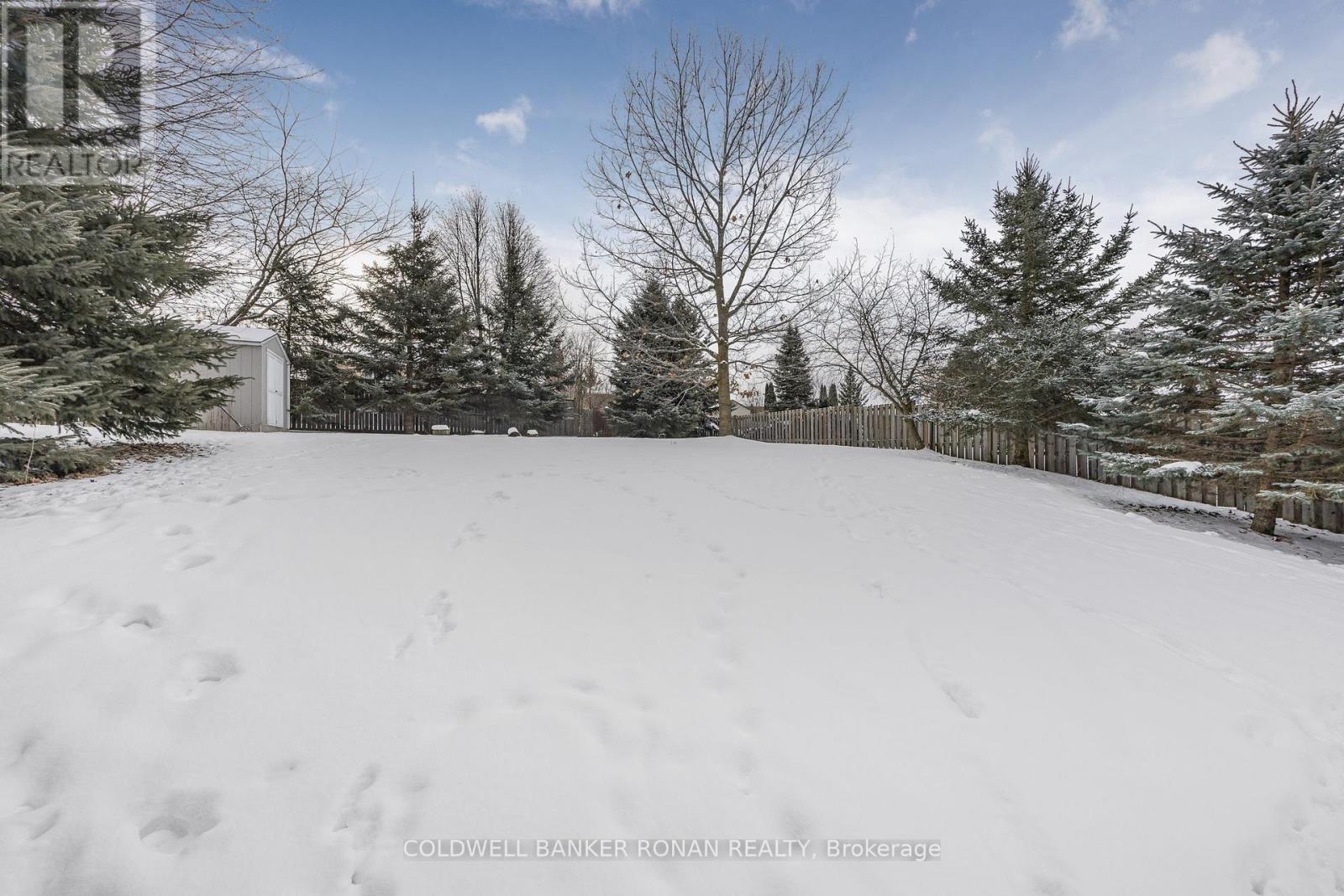 28 Dekker Street, Adjala-Tosorontio, Ontario  L0M 1J0 - Photo 31 - N12597572