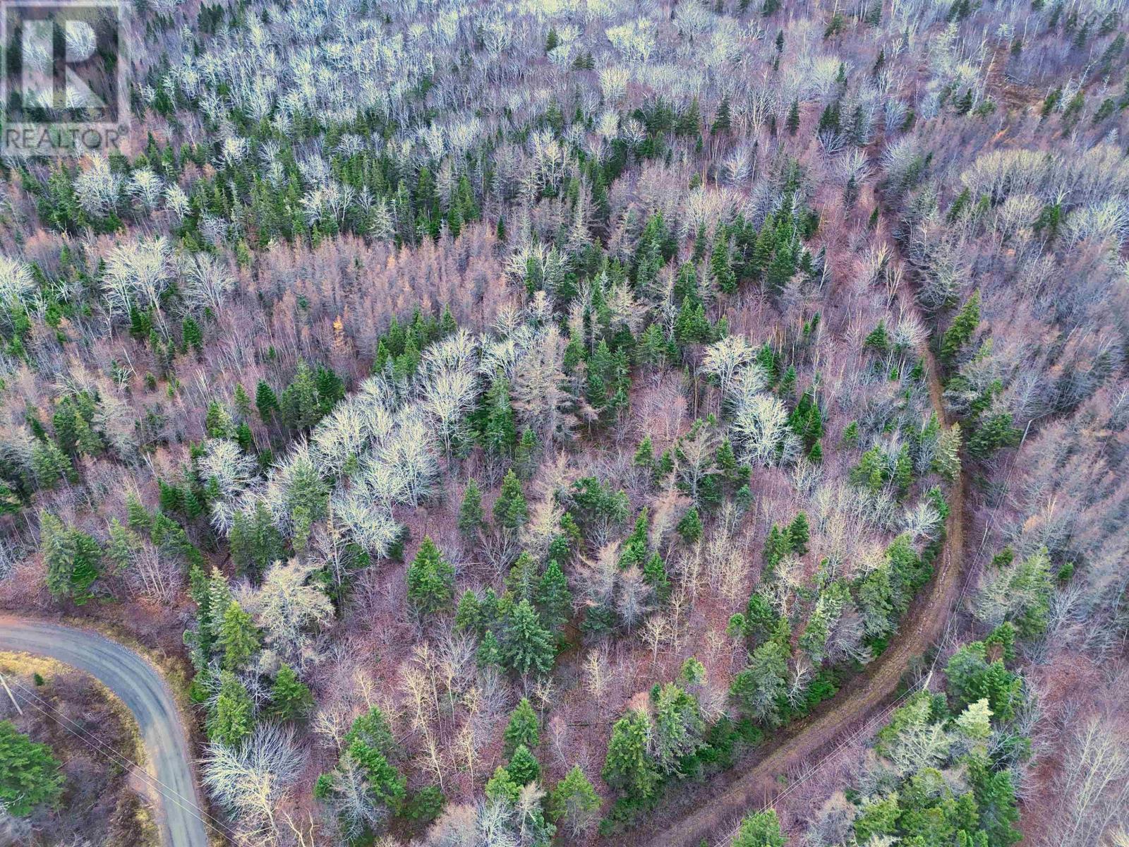 Maceachern Road, Judique North, Nova Scotia  B0E 1P0 - Photo 4 - 202527987