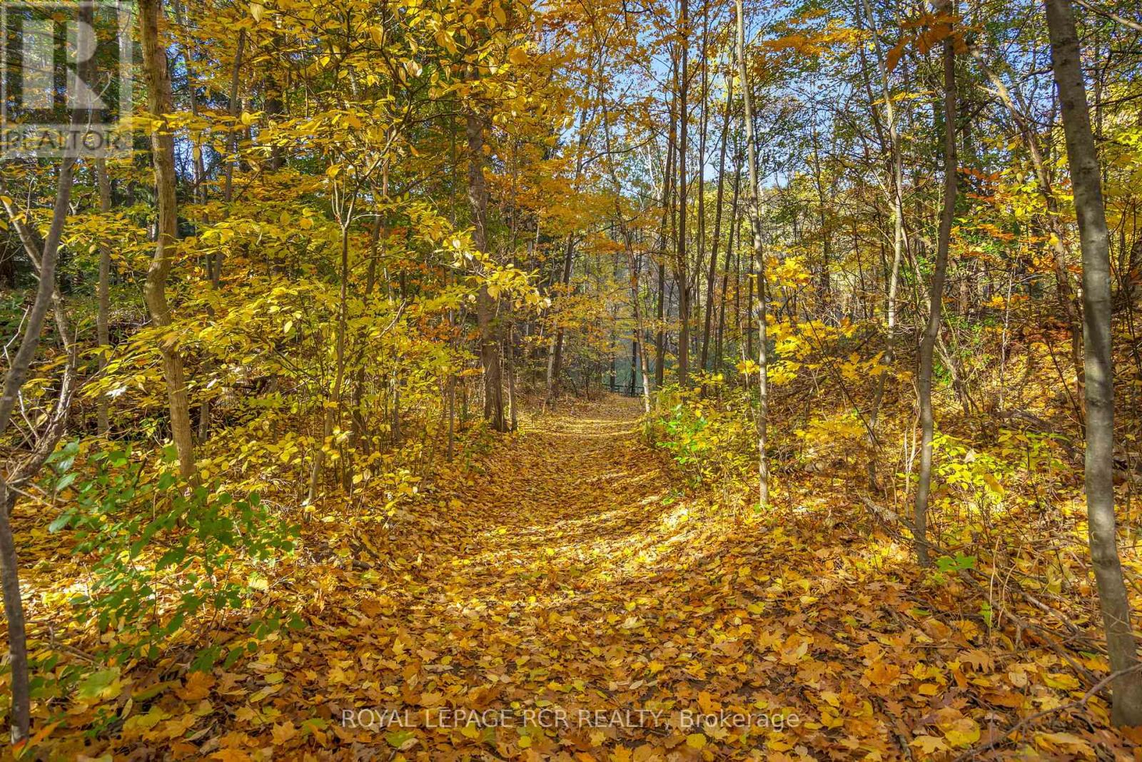 300 Old Bathurst Street, King, Ontario  L7B 1K5 - Photo 42 - N12597640