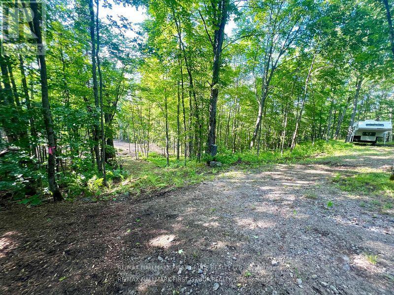 678 Centreview Road, Hastings Highlands, Ontario  K0J 1L0 - Photo 11 - X12449486