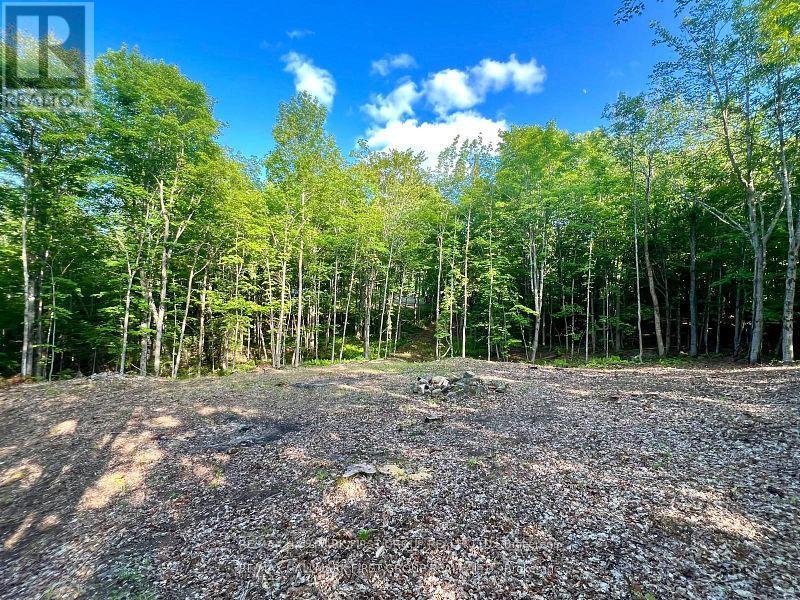 678 CENTREVIEW ROAD, Hastings Highlands, Ontario