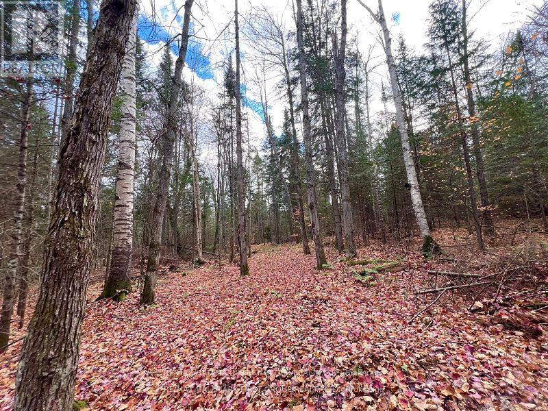 678 Centreview Road, Hastings Highlands, Ontario  K0J 1L0 - Photo 22 - X12449486