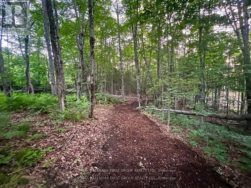 678 Centreview Road, Hastings Highlands, Ontario  K0J 1L0 - Photo 14 - X12449486