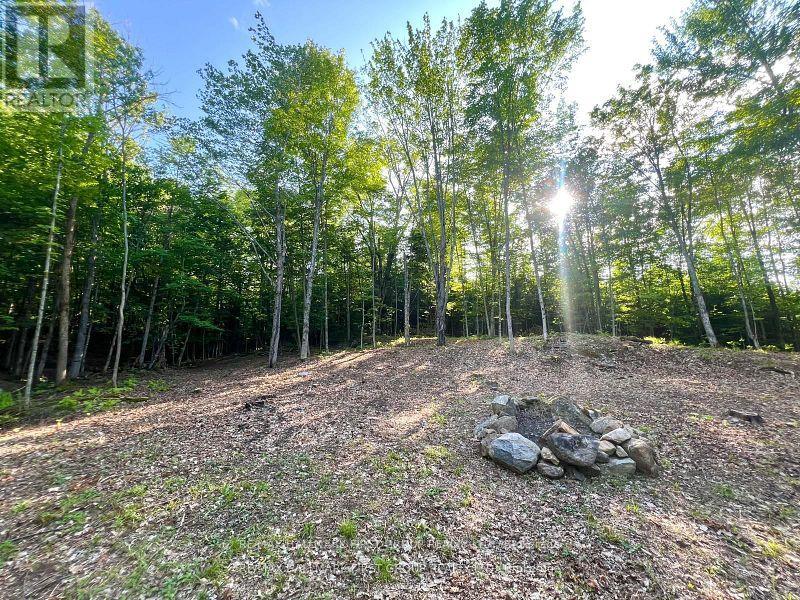 678 Centreview Road, Hastings Highlands, Ontario  K0J 1L0 - Photo 18 - X12449486