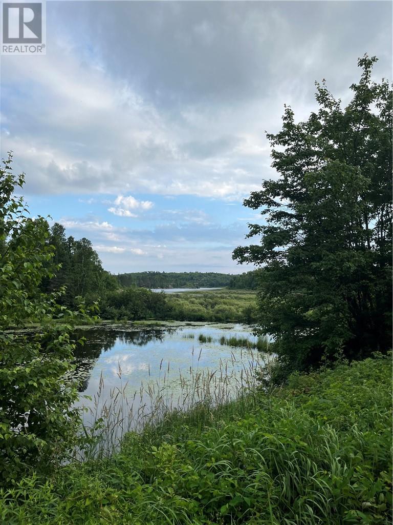 145 Sabourin Street, Greater Sudbury, Ontario P3E 4N1 - Photo 11 - 2125116