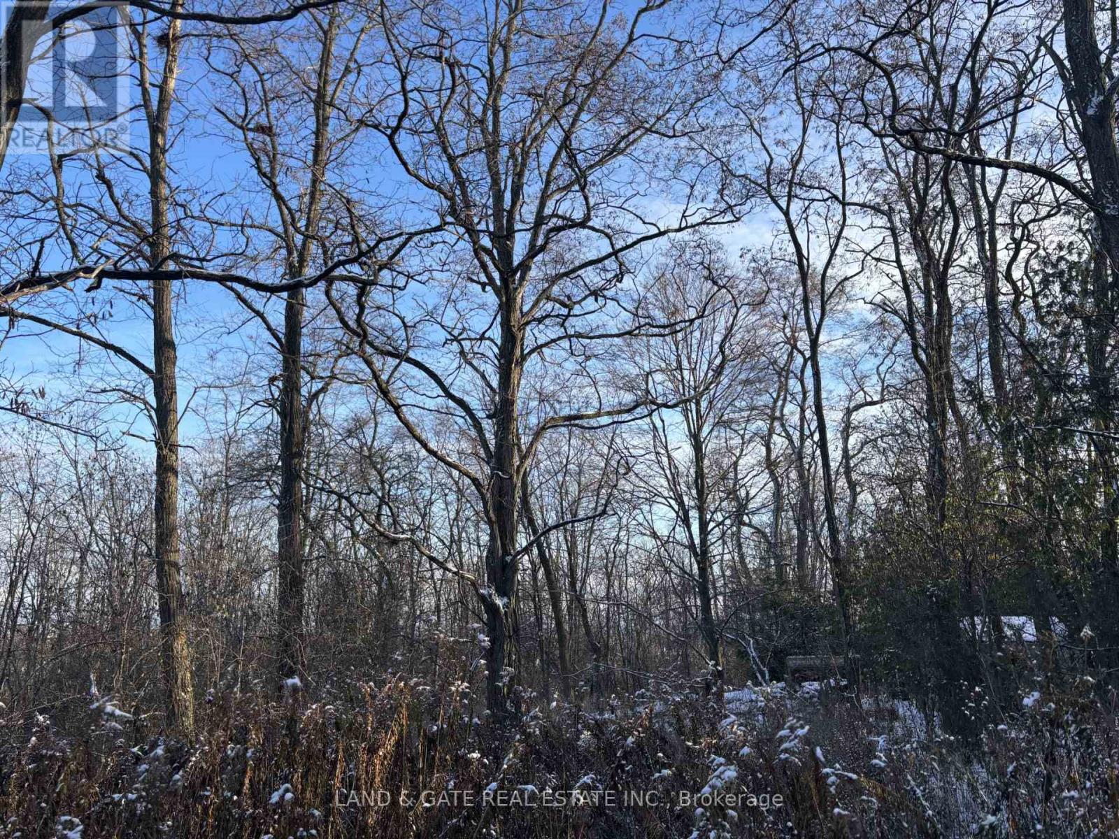 00 Kelwood Lane, Cramahe, Ontario  K0K 1S0 - Photo 2 - X12597794