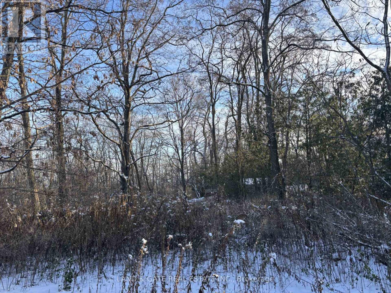 00 Kelwood Lane, Cramahe, Ontario  K0K 1S0 - Photo 3 - X12597794