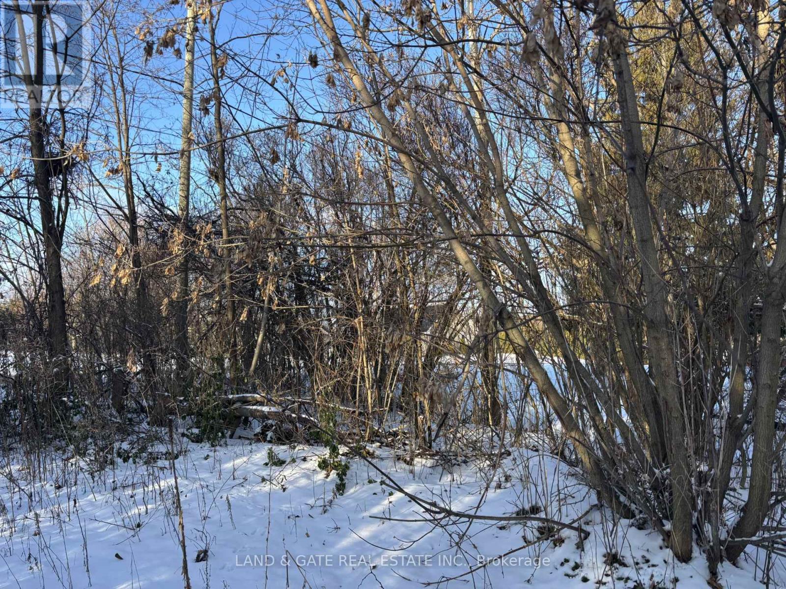 00 Kelwood Lane, Cramahe, Ontario  K0K 1S0 - Photo 4 - X12597794