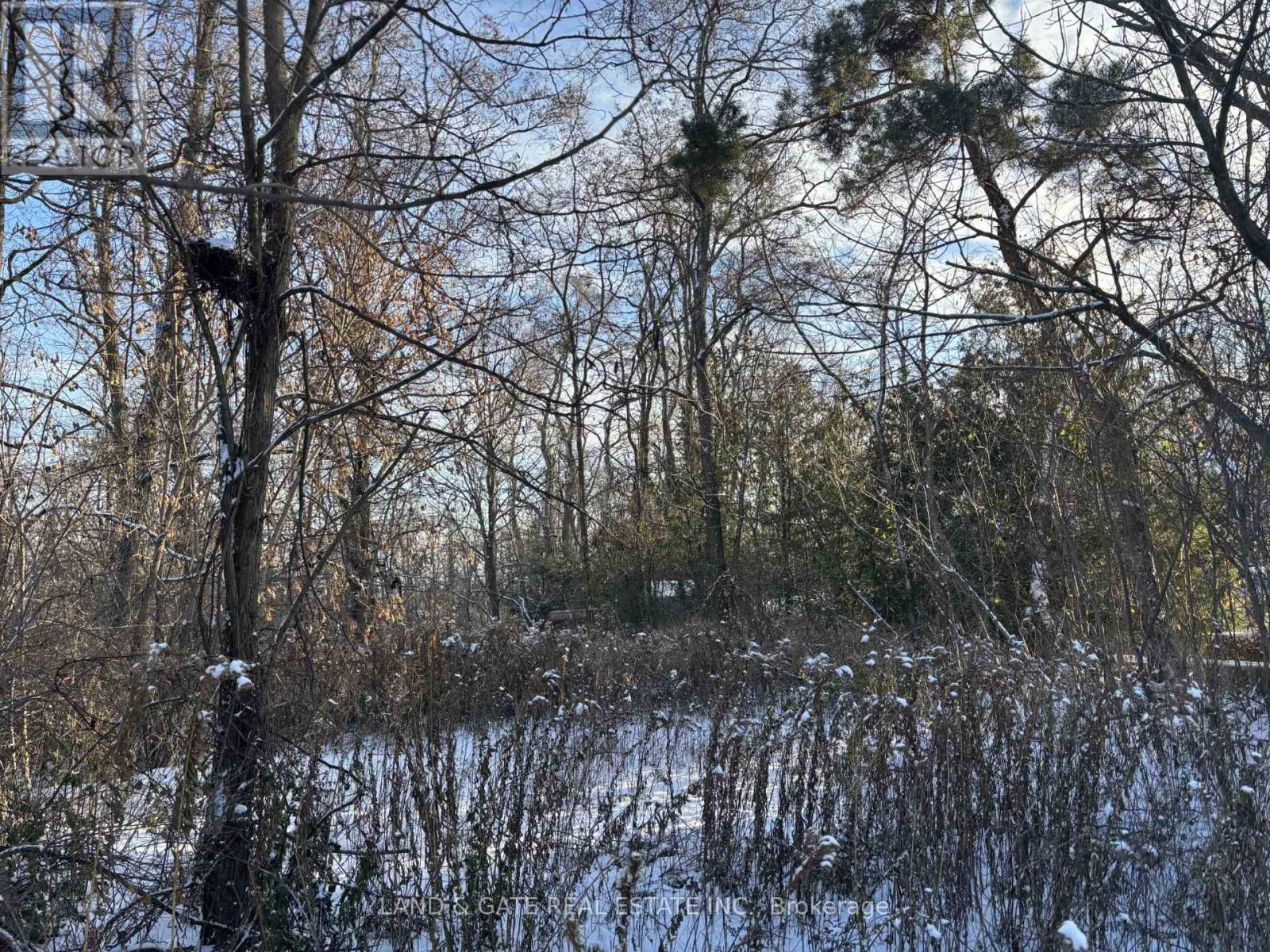 00 Kelwood Lane, Cramahe, Ontario  K0K 1S0 - Photo 5 - X12597794