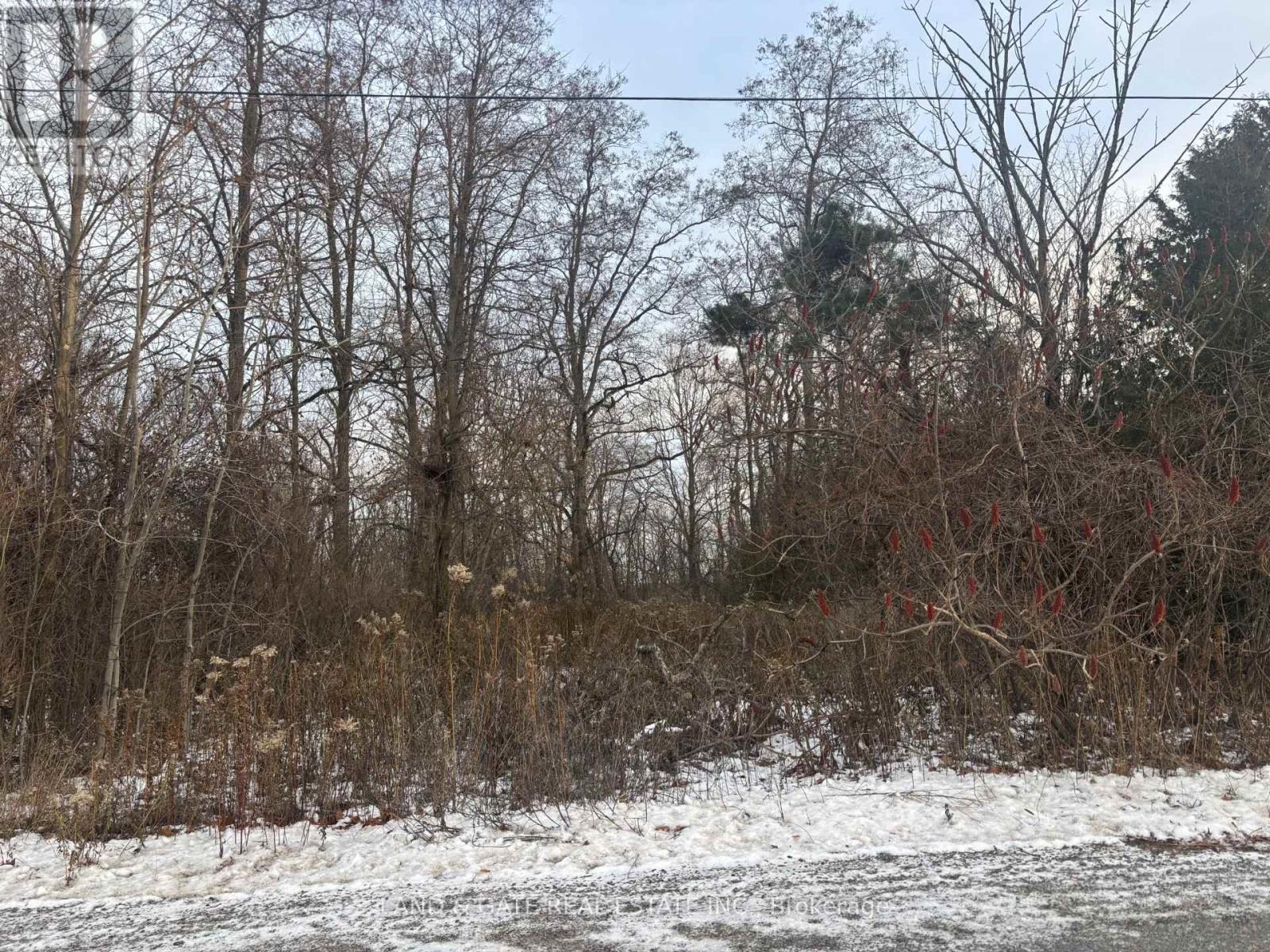 00 Kelwood Lane, Cramahe, Ontario  K0K 1S0 - Photo 6 - X12597794