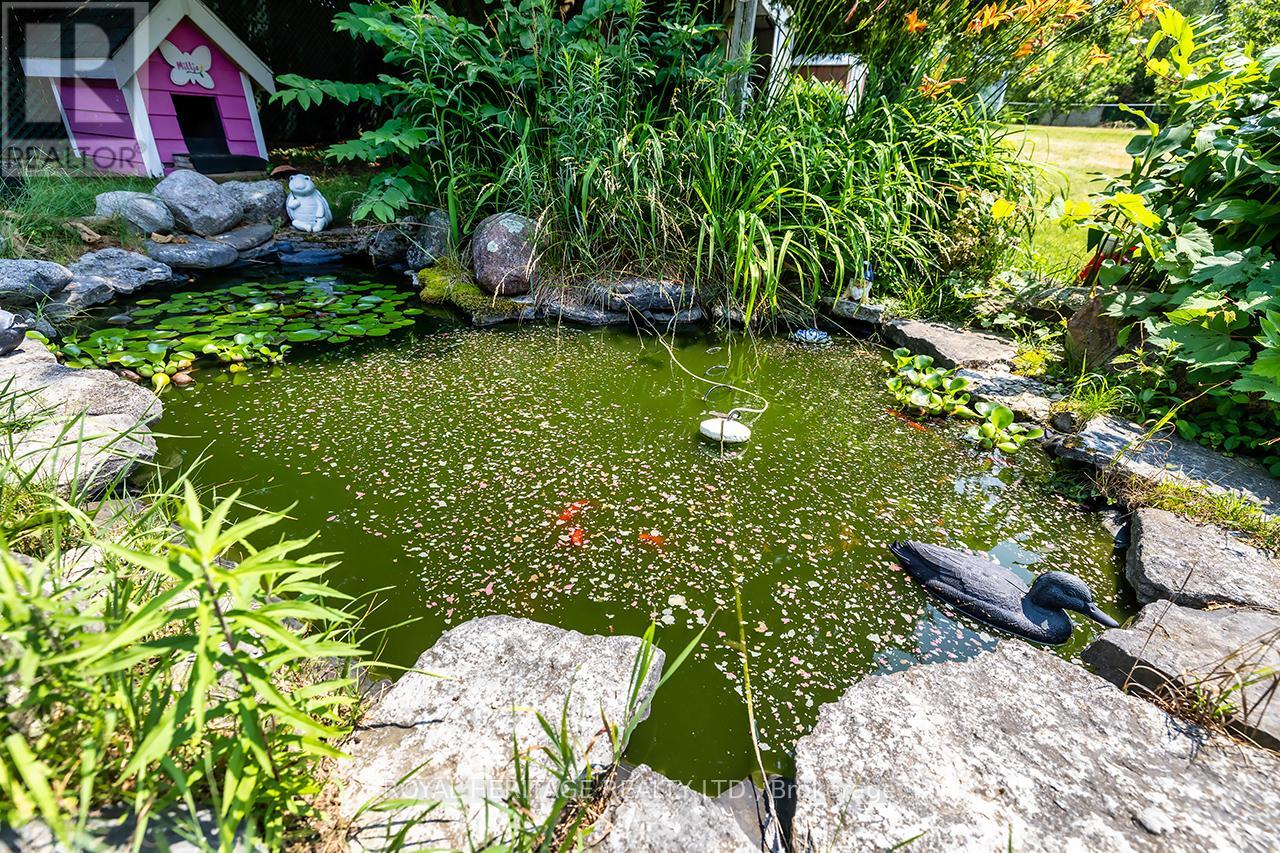 5291 County 45 Road, Hamilton Township, Ontario  K0K 1C0 - Photo 33 - X12597690