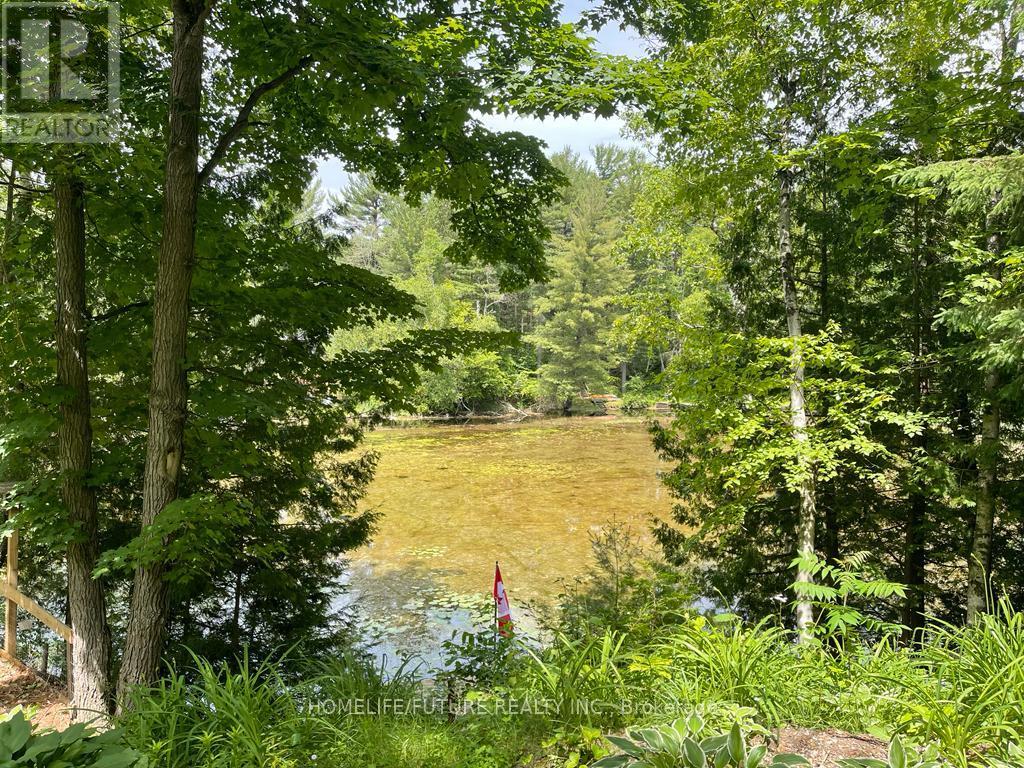 179 Stanley Road, Kawartha Lakes, Ontario  K0M 2T0 - Photo 16 - X12597746