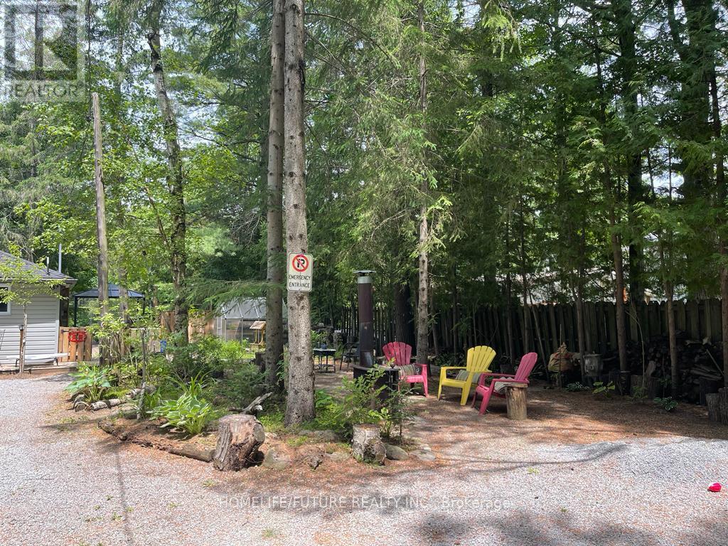 179 Stanley Road, Kawartha Lakes, Ontario  K0M 2T0 - Photo 9 - X12597746