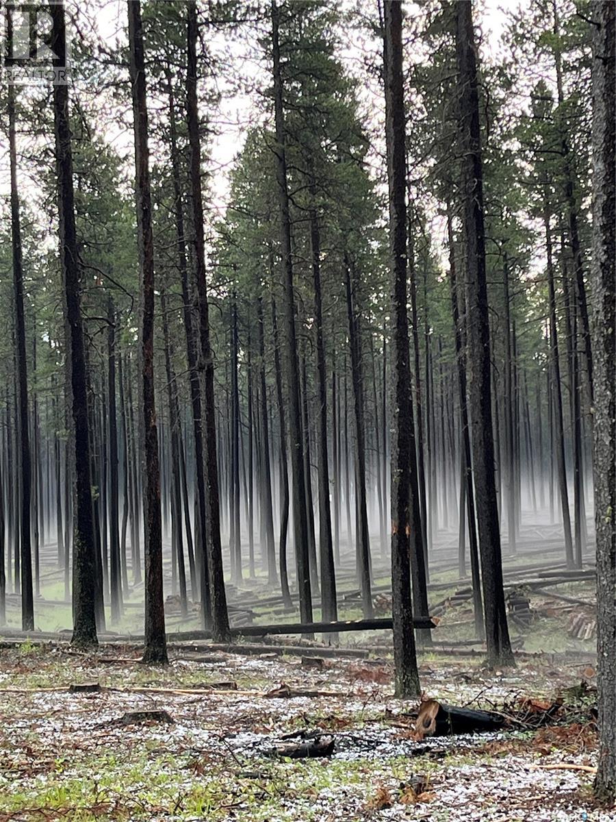 Cypress Hills Segway Tours, Cypress Hills Provincial Park, Saskatchewan  S0N 1N0 - Photo 23 - SK025085