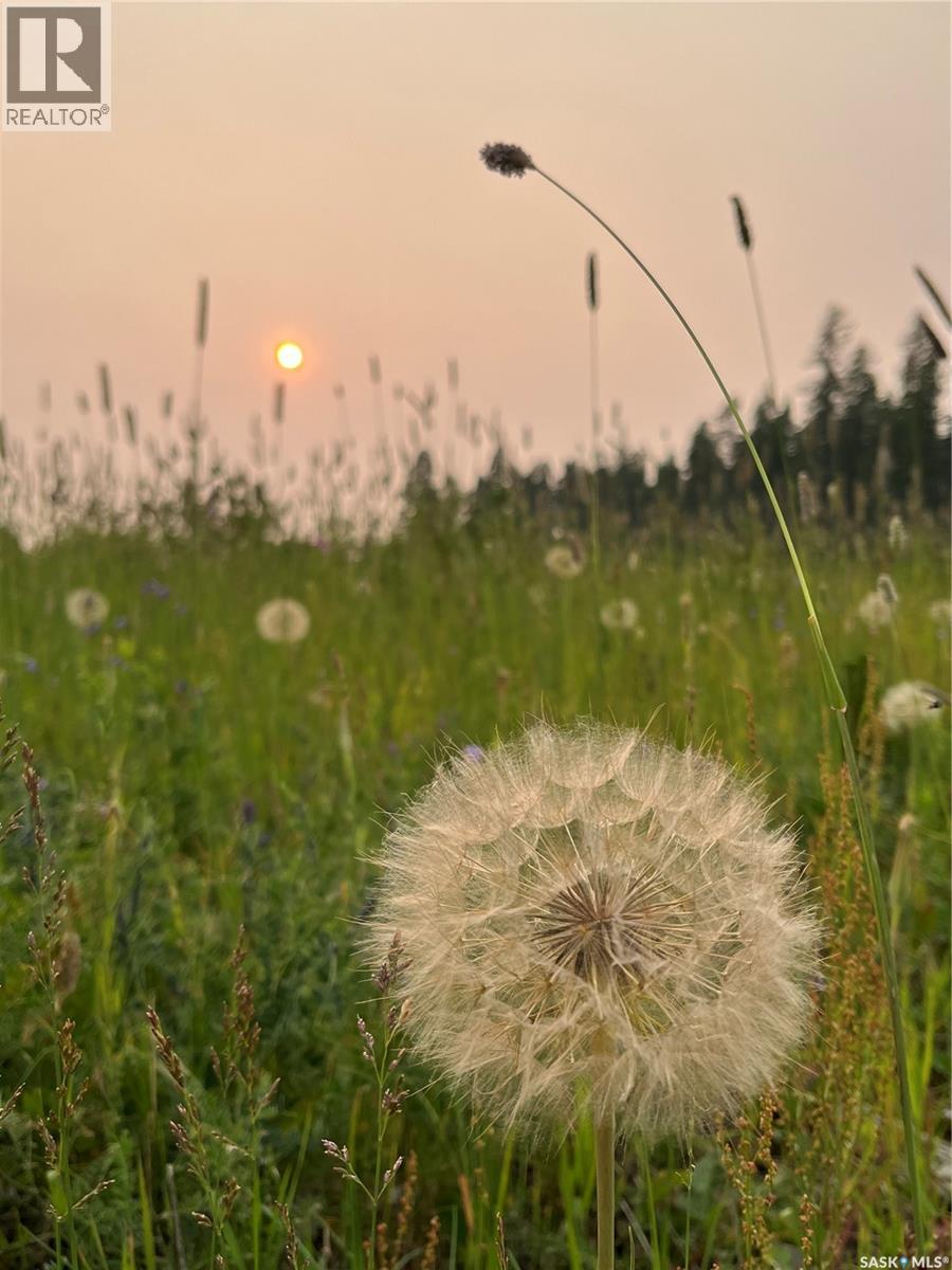 Cypress Hills Segway Tours, Cypress Hills Provincial Park, Saskatchewan  S0N 1N0 - Photo 25 - SK025085