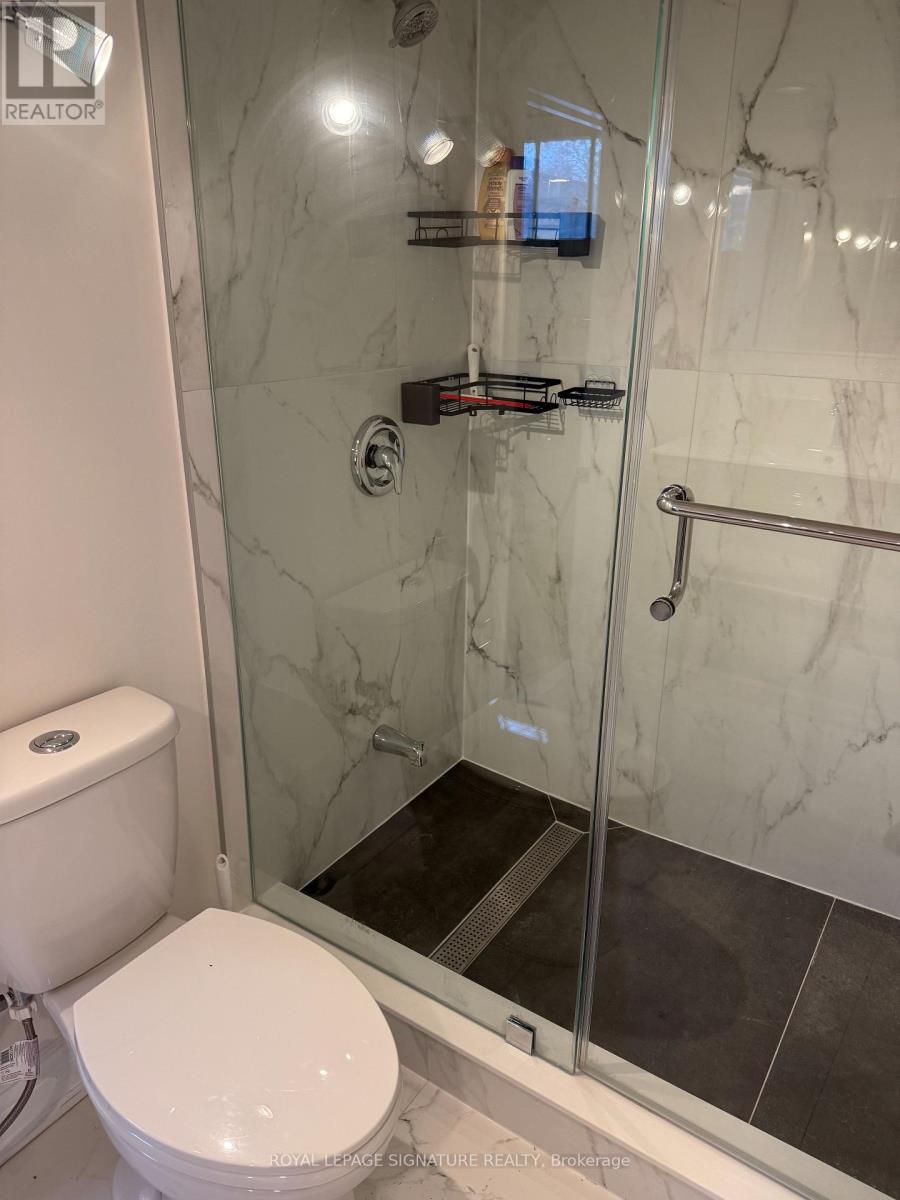 Lower - 25 Joseph Street, Mississauga, Ontario  L5M 1N8 - Photo 9 - W12597902