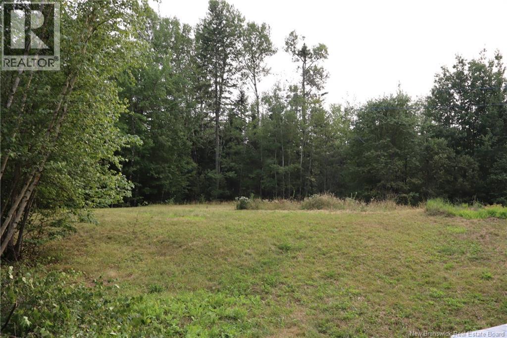 916 Sanatorium Road, Moncton, New Brunswick E4J 1X8 - Photo 11 - NB130983