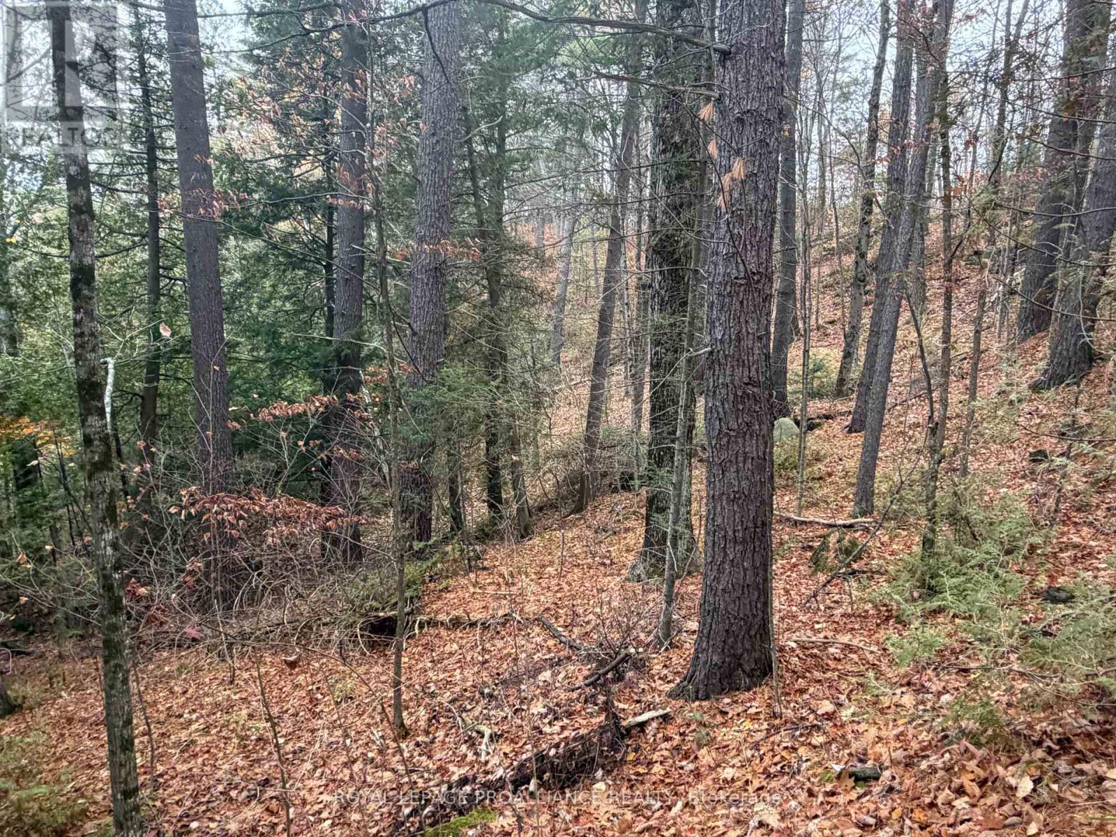 1070 Perry Lane - Lot 1 Lane, North Frontenac, Ontario  K0H 1K0 - Photo 10 - X12598094