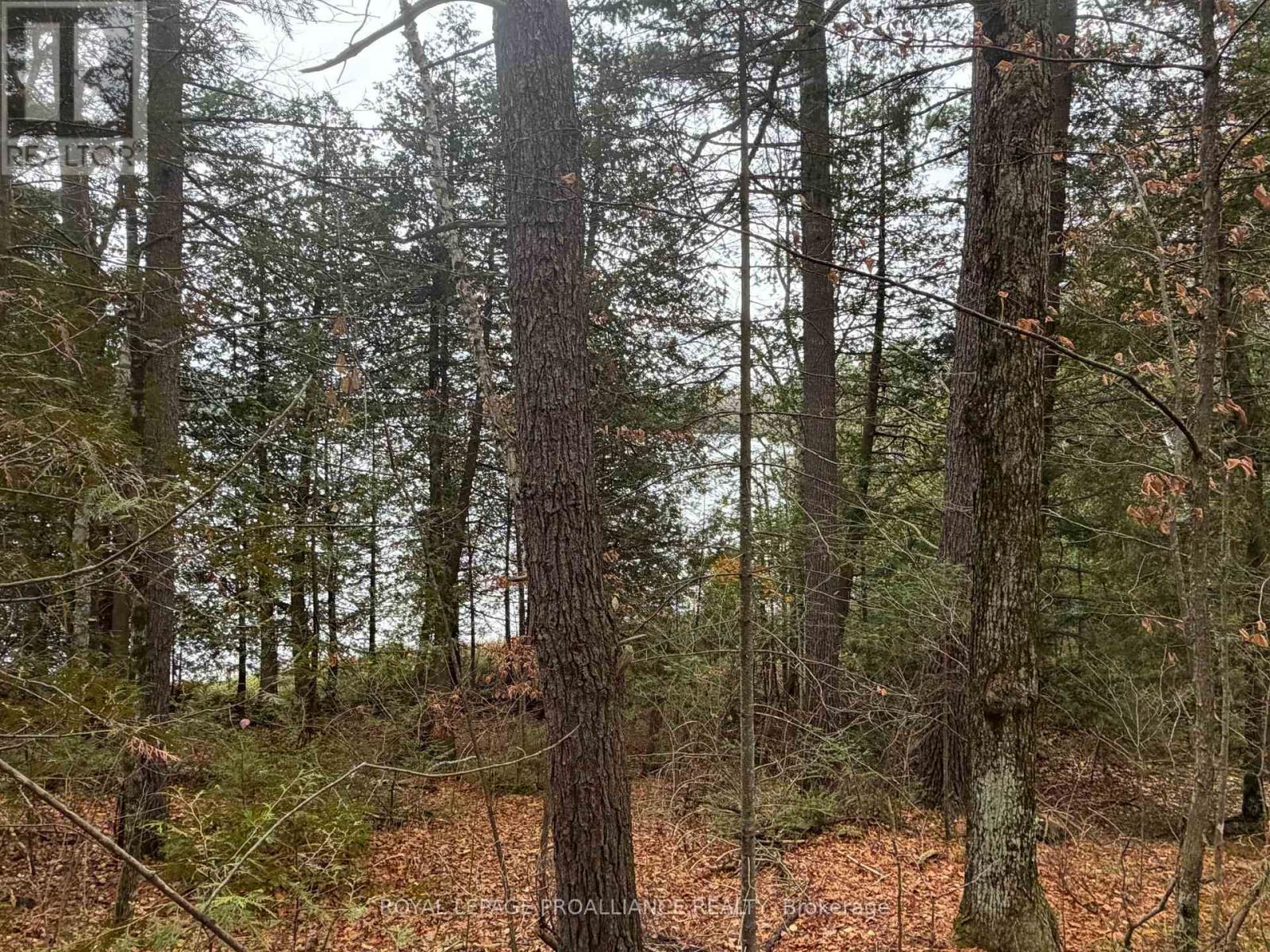 1070 Perry Lane - Lot 1 Lane, North Frontenac, Ontario  K0H 1K0 - Photo 11 - X12598094