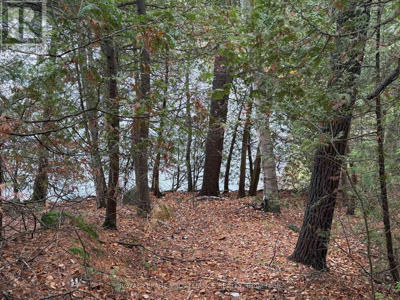 1070 Perry Lane - Lot 1 Lane, North Frontenac, Ontario  K0H 1K0 - Photo 12 - X12598094