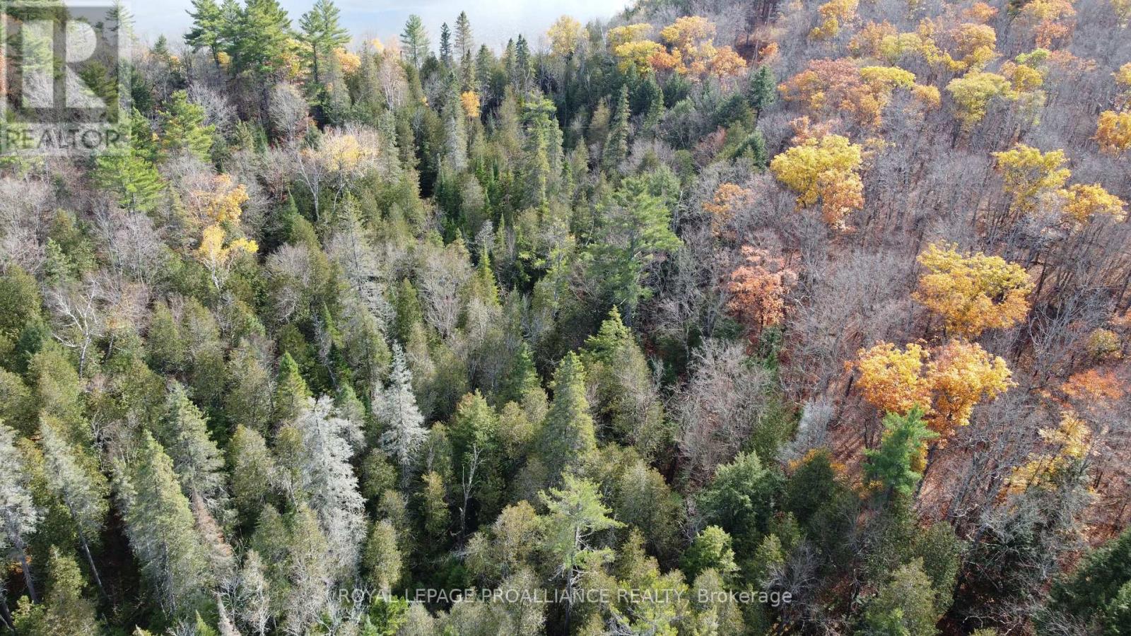 1070 Perry Lane - Lot 1 Lane, North Frontenac, Ontario  K0H 1K0 - Photo 2 - X12598094